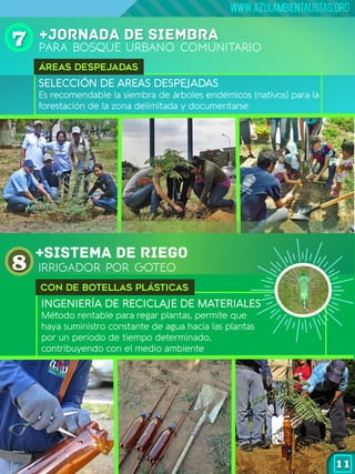 SELECCIÓN DE AREAS DESPEJADAS
Es recomendable la siembra de árboles endémicos (nativos) para la
forestación de la zona del...