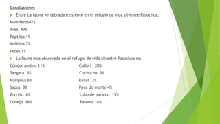 Conclusiones
 Entre La fauna vertebrada existente en el refugio de vida silvestre Pasochoa:
Mamíferos42%
Aves 49%
Reptiles 1%
Anfibios 7%
Peces 1%
 La fauna mas observada en el refugio de vida silvestre Pasochoa es:
Cóndor andino 11% Colibrí 20%
Tangara 5% Cuchucho 5%
Mariposa 6% Ranas 3%
Sapos 3% Pava de monte 4%
Zorrillo 6% Lobo de paramo 15%
Conejo 16% Paloma 6%
 