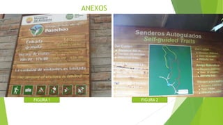 FIGURA ! FIGURA 2
ANEXOS
 