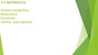4.3 MATERIALES:
Cámara fotográfica
Binoculares
Encuestas
Libreta para apuntes
 