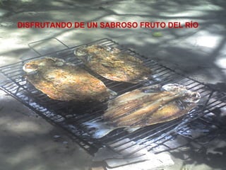 DISFRUTANDO DE UN SABROSO FRUTO DEL RÍO 