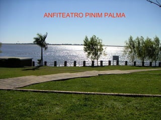 ANFITEATRO PINIM PALMA 