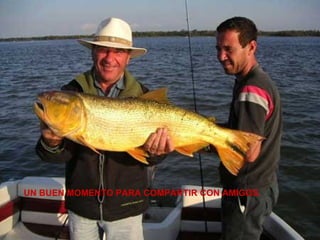 UN BUEN MOMENTO PARA COMPARTIR CON AMIGOS. 