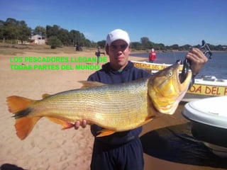 LOS PESCADORES LLEGAN DE  TODAS PARTES DEL MUNDO. 