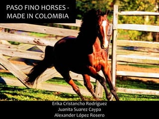 PASO FINO HORSES - 
MADE IN COLOMBIA 
Erika Cristancho Rodríguez 
Juanita Suarez Caypa 
Alexander López Rosero 
 