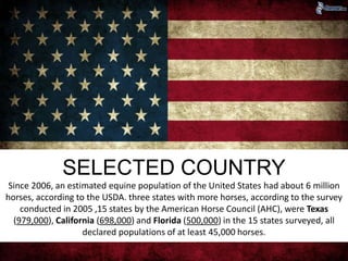 SELECTED COUNTRY 
Since 2006, an estimated equine population of the United States had about 6 million 
horses, according to the USDA. three states with more horses, according to the survey 
conducted in 2005 ,15 states by the American Horse Council (AHC), were Texas 
(979,000), California (698,000) and Florida (500,000) in the 15 states surveyed, all 
declared populations of at least 45,000 horses. 
 