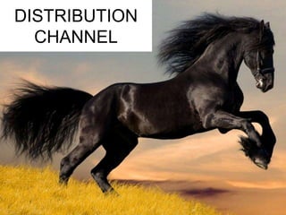 DISTRIBUTION 
CHANNEL 
 