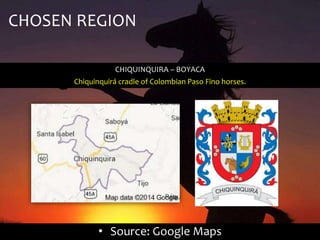 CHOSEN REGION 
CHIQUINQUIRA – BOYACA 
Chiquinquirá cradle of Colombian Paso Fino horses. 
• Source: Google Maps 
 