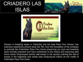 CRIADERO LAS 
ISLAS 
Pioneer in breeding asses in Colombia and the best Paso Fino Horses, has 
extensive experience around since the 70s, from the foundation of the company 
to promote the Colombian Paso Fino Horse preserving our stud and breeding 
stock animals important and have contributed to the history and improving step 
horse mares Chiquinquirá berries well known in the country outlining the role of 
horses in the highlands and sorted data Chiquinquirá history as the cradle of 
Colombian Paso Fino horse. 
 