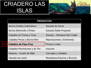 CRIADERO LAS 
CRIADERO LAS ISLAS 
PRODUCTOS 
ISLAS 
Burros Criollos Colombiano Ganado de Carne 
Burros Mammoth y Pintos Ganado Doble Propósito 
Caballos de Trocha y Trote Ganado – Miniatura Mini Cattle 
Caballos Ponys y Burros Mini Reproductores y Embriones 
Caballos de Paso Fino Fincas y Lotes 
Caballos Percherones y de Tiro Insumos 
Mulares – Cuarto de Milla Carruajes y Caballos 
Ganado de Leche Receptoras Equinos y Bovinos 
 