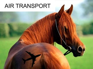 AIR TRANSPORT 
 