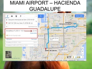 MIAMI AIRPORT – HACIENDA 
GUADALUPE 
 