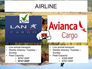 AIRLINE 
• Live animal transport 
• Weekly itinerary: Tuesday – 
Sunday 
• Fleet Capacity: 
• B767-300F 
• B747-200F 
• Live animal transport 
• Weekly itinerary: Tuesday – 
Sunday 
• Fleet Capacity: 
• A300-200F 
• B767-300F 
 