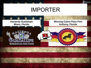 IMPORTER 
Hacienda Guadalupe 
Miami, Florida 
Winning Colors Paso FIno 
Anthony, Florida 
 