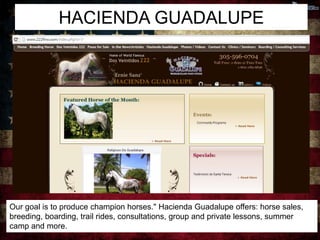 HACIENDA GUADALUPE 
Our goal is to produce champion horses." Hacienda Guadalupe offers: horse sales, 
breeding, boarding, trail rides, consultations, group and private lessons, summer 
camp and more. 
 