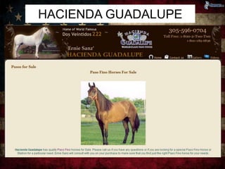 HACIENDA GUADALUPE 
 