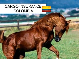 CARGO INSURANCE 
COLOMBIA 
 