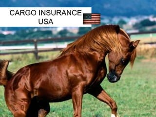 CARGO INSURANCE 
USA 
 