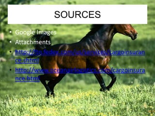 SOURCES 
• Google Images 
• Attachments 
• http://ftn.fedex.com/us/services/cargoinsuran 
ce.shtml 
• http://www.oceanairlogistics.com/cargoinsura 
nce.html 
