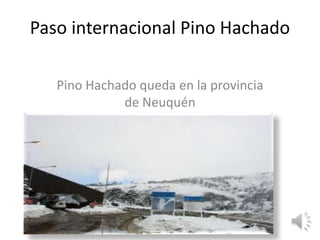 Paso internacional Pino Hachado
Pino Hachado queda en la provincia
de Neuquén
 