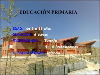 EDUCACIÓN PRIMARIA
EDAD: de 6 a 12 años
DURACIÓN: 6 cursos
PROFESORADO: - Tutor/a
- 4 - 6 Profesores/as
C. PSICOLÓGICAS: Infancia
 