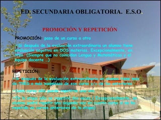 ED. SECUNDARIA OBLIGATORIA. E.S.O.
PROMOCIÓN Y REPETICIÓN
PROMOCIÓN: paso de un curso a otro
Si después de la evaluación extraordinaria un alumno tiene
evaluación negativa en DOS materias. Excepcionalmente, en
tres. (Siempre que no coincidan Lengua y Matemáticas y el
equipo docente …)
REPETICIÓN:
Si después de la evaluación extraordinaria un alumno tiene más
de TRES o más suspensos de ese curso y/o de los anteriores
Cada curso sólo puede repetirse una vez.
En la etapa sólo se repetirá dos veces.( Excepcionalmente, un
alumno podrá repetir una segunda vez en cuarto curso si no ha
repetido en cursos anteriores de la etapa)
 
