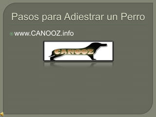 Pasos para Adiestrar un Perro www.CANOOZ.info 