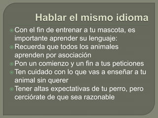 Hablar el mismo idiomaCon el fin de entrenar a tu mascota, es importante aprender su lenguaje:Recuerda que todos los animales aprenden por asociaciónPon un comienzo y un fin a tus peticionesTen cuidado con lo que vas a enseñar a tu animal sin quererTener altas expectativas de tu perro, pero cerciórate de que sea razonable