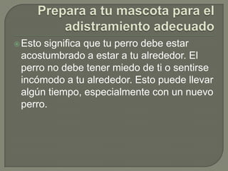 Prepara a tu mascota para el adistramiento adecuadoEsto significa que tu perro debe estar acostumbrado a estar a tu alrededor. El perro no debe tener miedo de ti o sentirse incómodo a tu alrededor. Esto puede llevar algún tiempo, especialmente con un nuevo perro.