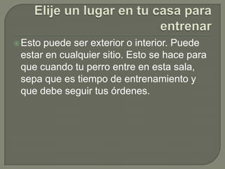 Elije un lugar en tu casa para entrenarEsto puede ser exterior o interior. Puede estar en cualquier sitio. Esto se hace para que cuando tu perro entre en esta sala, sepa que es tiempo de entrenamiento y que debe seguir tus órdenes.