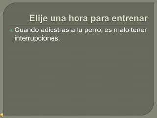 Elije una hora para entrenarCuando adiestras a tu perro, es malo tener interrupciones.