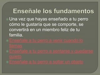 Enseñalelos fundamentosUna vez que hayas enseñado a tu perro cómo le gustaría que se comporte, se convertirá en un miembro feliz de tu familia.Enseñale a tu perro a venir cuando lo llamasEnseñale a tu perro a sentarse y quedarse quietoEnseñale a tu perro a soltar un objeto