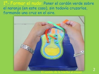 1º- Formar el nudo: Poner el cordón verde sobre el naranja (en este caso), sin todavía cruzarlos, formando una cruz en el ...