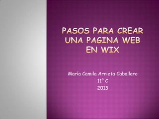 María Camila Arrieta Caballero
11° C
2013
 