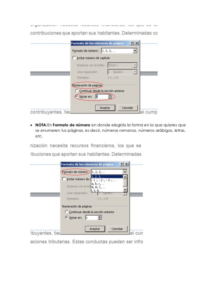 Numeracion De Paginas Word 2010