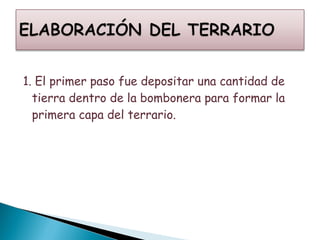 1. El primer paso fue depositar una cantidad de tierra dentro de la bombonera para formar la primera capa del terrario. 