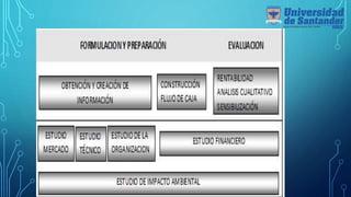 Pasos para la elaboracion de un proyecto segun la pmbok | PPTX