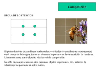 Composición

REGLA DE LOS TERCIOS




El punto donde se cruzan líneas horizontales y verticales (eventualmente serpenteantes)
en el campo de la imagen, forma un elemento importante en la composición de la misma.
Llamamos a este punto el punto «básico» de la composición.
No sólo líneas que se cruzan, sino personas, objetos importantes, etc., tratamos de
situarlos principalmente en estos puntos.
 