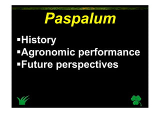 Paspalum
History
Agronomic performance
Future perspectives
 