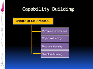 Capability Building
Stages of CB Process

Problem Identification
Objective Setting
Program planning
Structure building

 