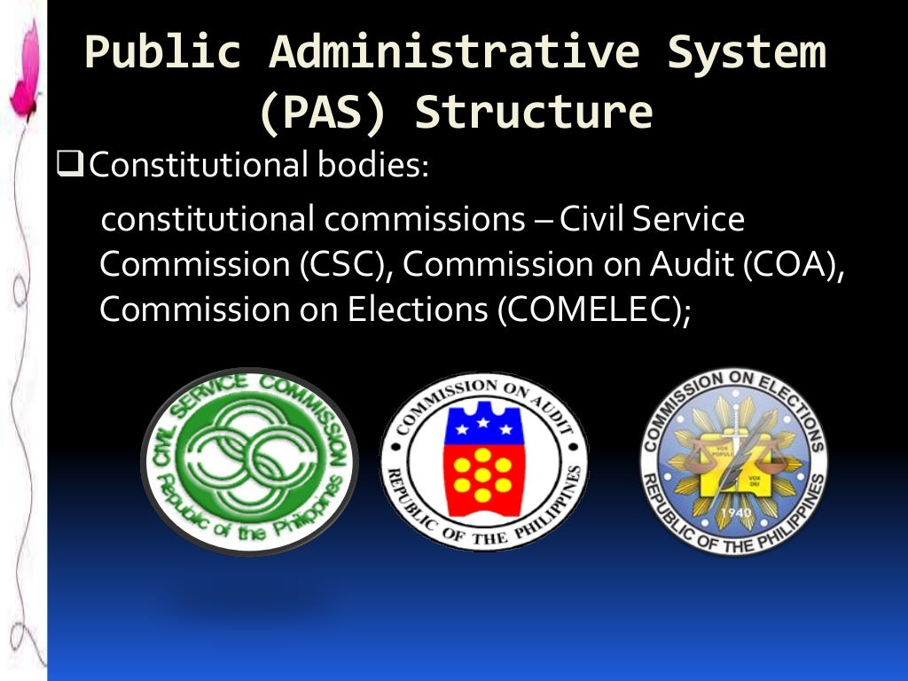 DPA 102 Philippine Administrative System