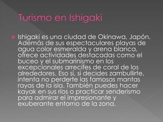 Ishigaki es una ciudad de Okinawa, Japón.
Además de sus espectaculares playas de
agua color esmeralda y arena blanca,
ofrece actividades destacadas como el
buceo y el submarinismo en los
excepcionales arrecifes de coral de los
alrededores. Eso sí, si decides zambullirte,
intenta no perderte las famosas mantas
rayas de la isla. También puedes hacer
kayak en sus ríos o practicar senderismo
para admirar el impresionante y
exuberante entorno de la zona.
 