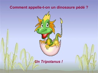 Comment appelle-t-on un dinosaure pédé ?




            Un Tripotanus !
 