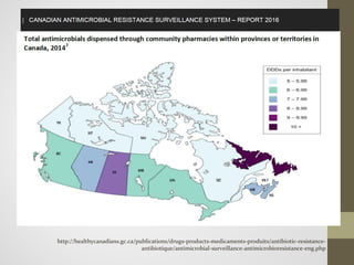 Antimicrobial Stewardship and Applications to Common Infections | PDF