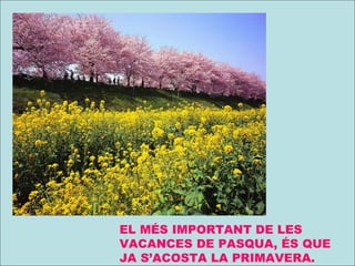 EL MÉS IMPORTANT DE LES VACANCES DE PASQUA, ÉS QUE JA S’ACOSTA LA PRIMAVERA. 