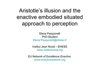 Aristotle’s illusion and the enactive embodied situated approach to perception Elena Pasquinelli PhD Student [email_address] Institut Jean Nicod – EHESS www.institutnicod.org EU Network of Excellence  Enactive  www.enactivenetwork.org 
