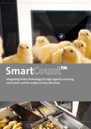 Integrating Vision Technology for high capacity counting,
vaccination and the analysis of day old chicks
 