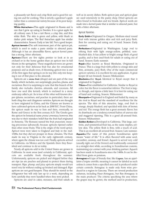 pasrty chef Bo Friberg.pdf