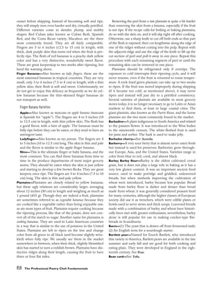 pasrty chef Bo Friberg.pdf