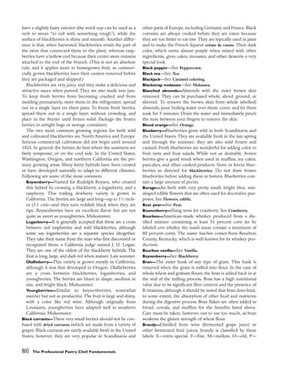 pasrty chef Bo Friberg.pdf